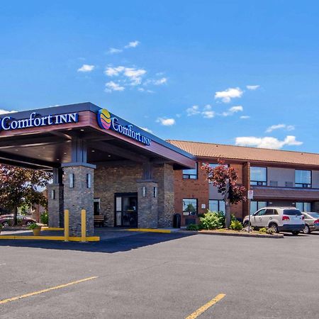 Comfort Inn Sainte-Catherine Εξωτερικό φωτογραφία